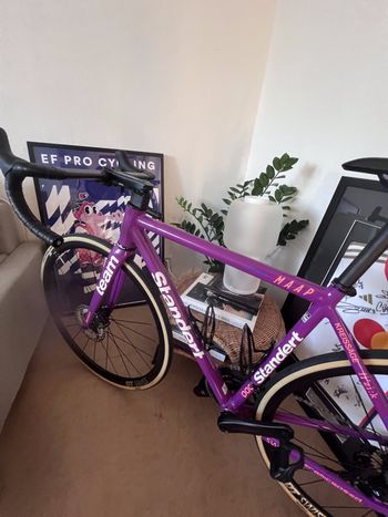 Used Standert Kreissäge RS | Frame | Team Edition MY24 2024 Road & Gravel, Violett — image 3 of 6