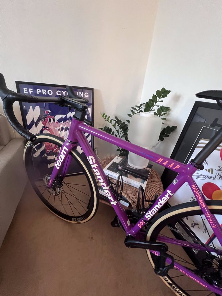 Used Standert Kreissäge RS | Frame | Team Edition MY24 2024 Road & Gravel, Violett — image 3 of 6