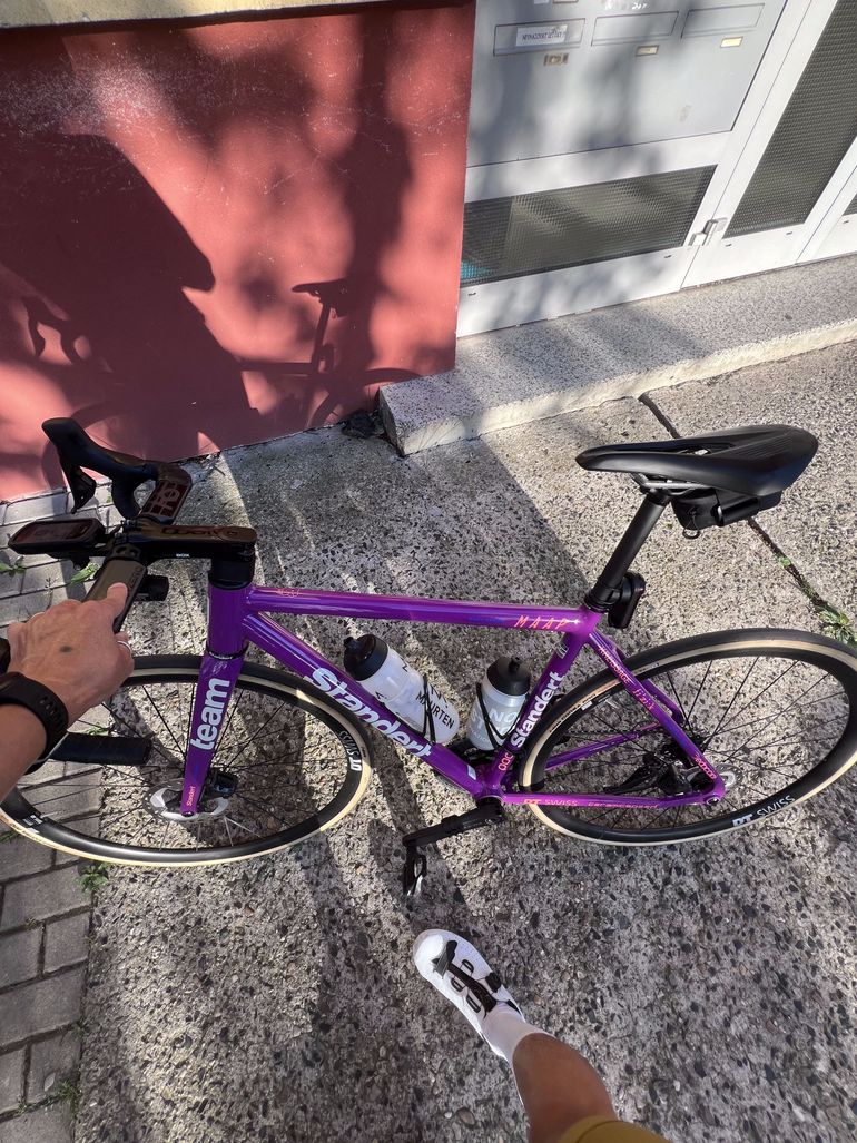 Used Standert Kreissäge RS | Frame | Team Edition MY24 2024 Road & Gravel, Violett — image 6 of 6