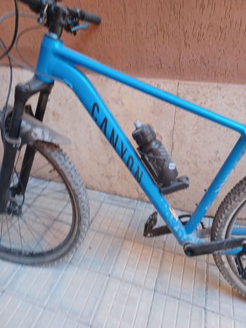 Used Canyon Grand Canyon AL SL 7.0 2020 2020 Mountainbike — image 2 of 14