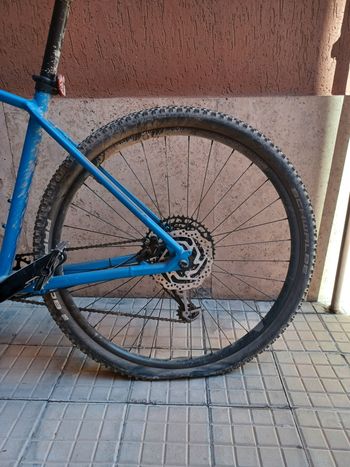Used Canyon Grand Canyon AL SL 7.0 2020 2020 Mountainbike — image 3 of 14