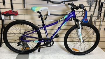 Cannondale Trail 24 Pollici Ammortizzata 2025 Urban & Touring usato