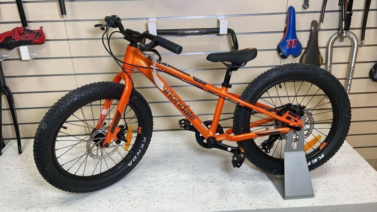 Cannondale Cujo 20 Pollici | buycycle