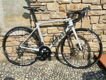 Giant, TCR Advanced Disc 1+ 2021