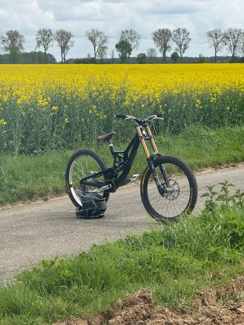 Santa Cruz, V10 DH X01 / Carbon CC 2025
