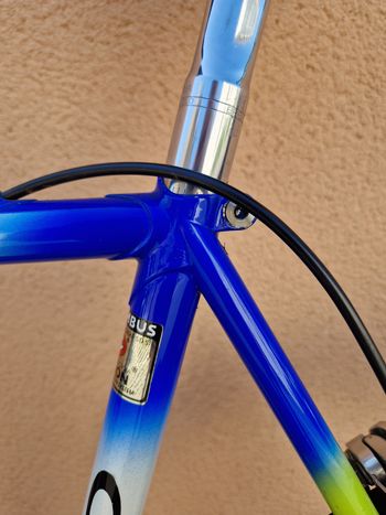 Thumbnail 37