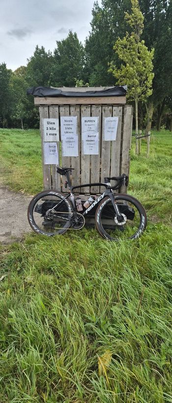 Ridley, Noah Shimano Dura Ace Di2