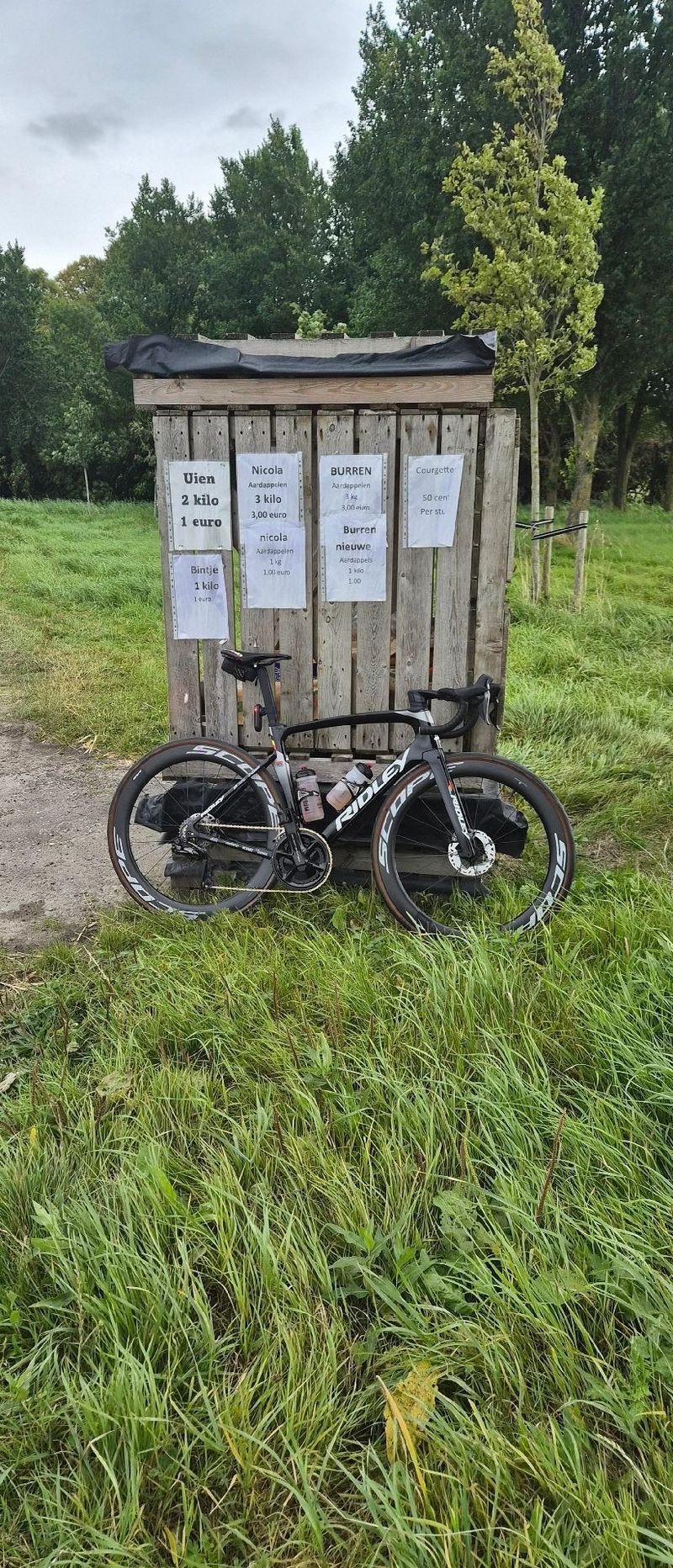 Used Ridley Noah Shimano Dura Ace Di2 2024 Road & Gravel