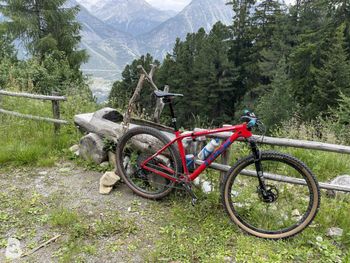 Used Trek Procaliber 9.9 SL 2019 2019 Mountainbike, Red — image 5 of 5
