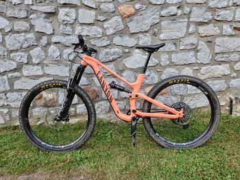 Canyon, Spectral CF 7 WMN 2021