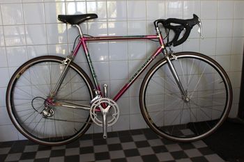 Colnago, Master