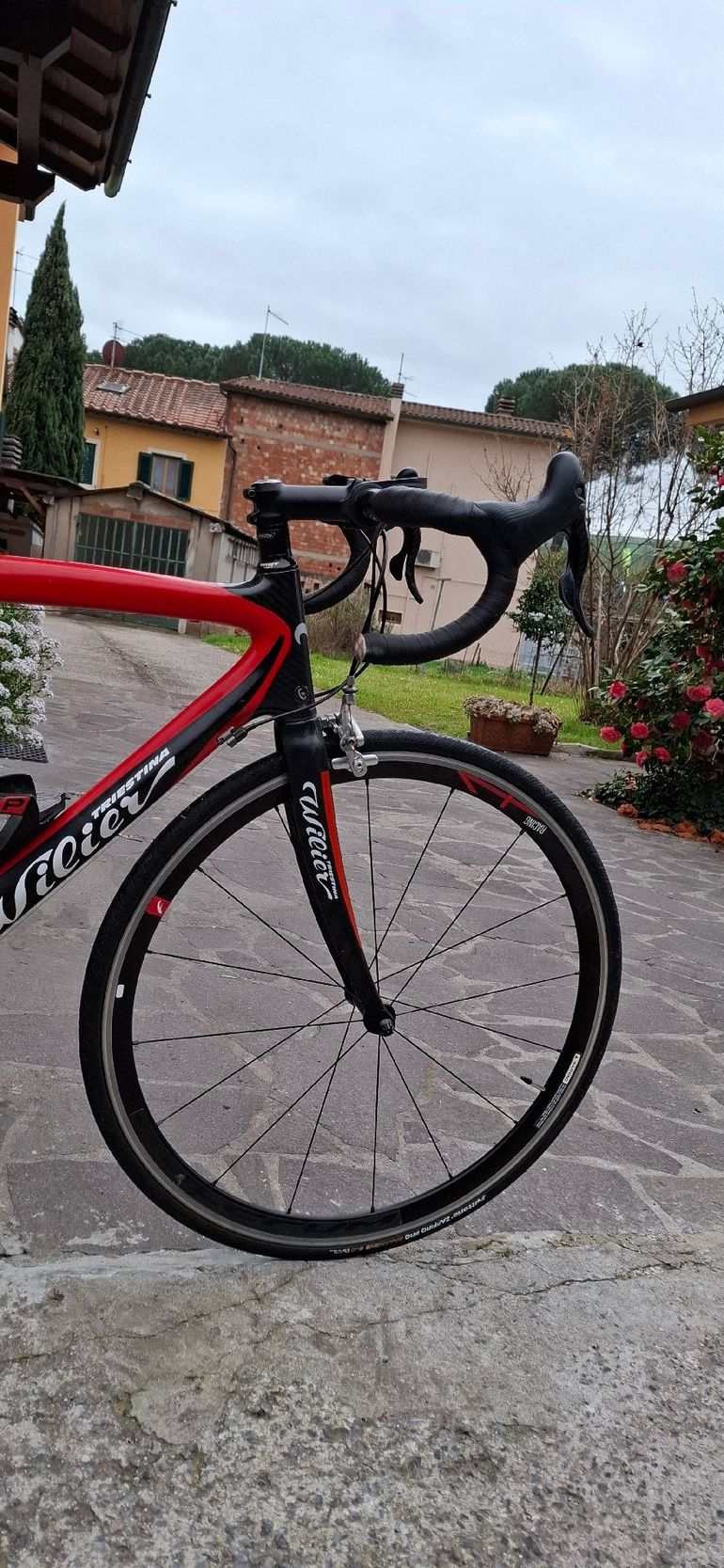 Used Wilier Wilier Custom Campagnolo Chorus 2015 Road & Gravel — image 3 of 3