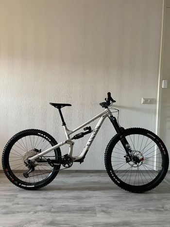 Canyon, Torque 5 (Mullet) 2025