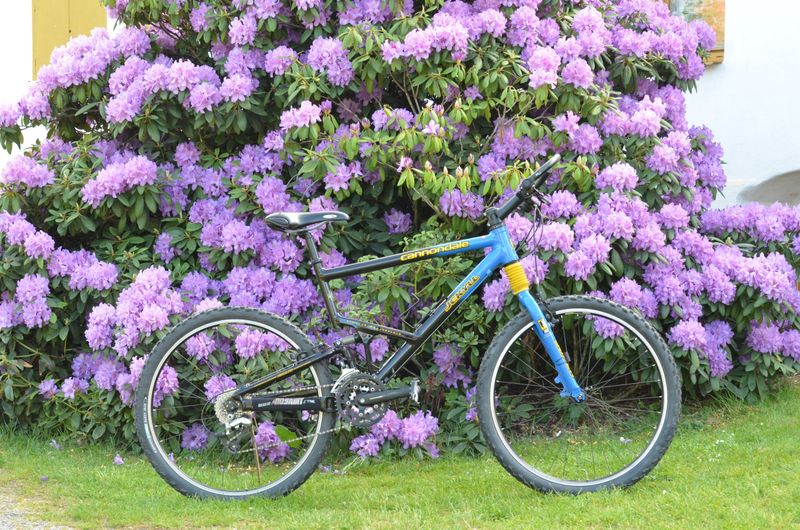 Used Cannondale Jekyll 500 2000 MTB