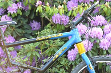 Used Cannondale Jekyll 500 2000 Mountainbike, Blue — image 14 of 15