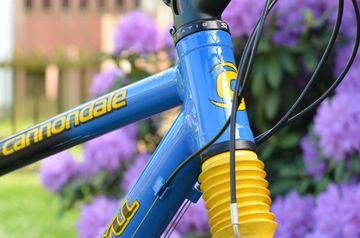 Used Cannondale Jekyll 500 2000 Mountainbike, Blue — image 11 of 15