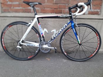 Willier, Willier Custom Shimano Ultegra