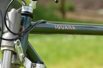 Used Giant Iguana 1994 Mountainbike, Green — image 7 of 17