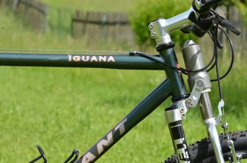 Used Giant Iguana 1994 Mountainbike, Green — image 13 of 17