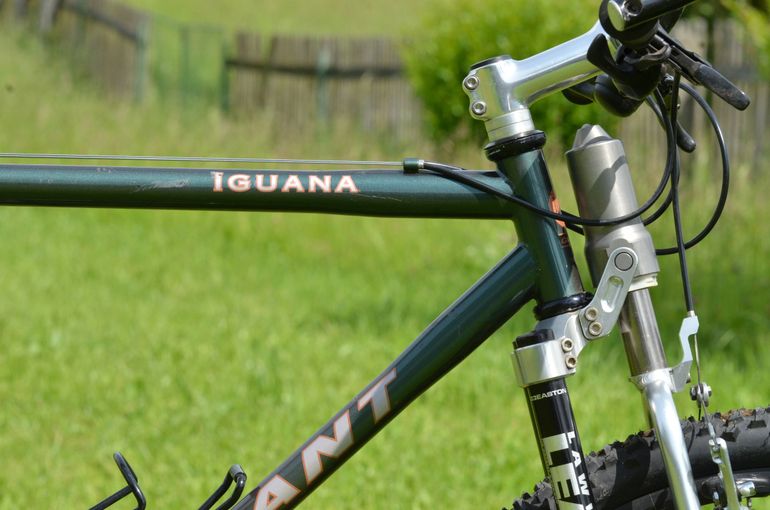 Used Giant Iguana 1994 Mountainbike, Green — image 13 of 17