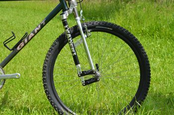 Used Giant Iguana 1994 Mountainbike, Green — image 16 of 17