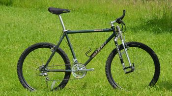 Used Giant Iguana 1994 MTB