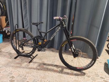Specialized, Demo Race 2024