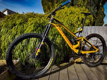 Used Mondraker Dune Carbon R 2019 2019 MTB