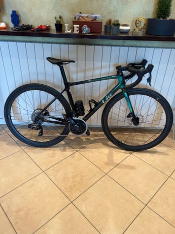 Liv, Langma Advanced Pro Disc 1 AR 2024
