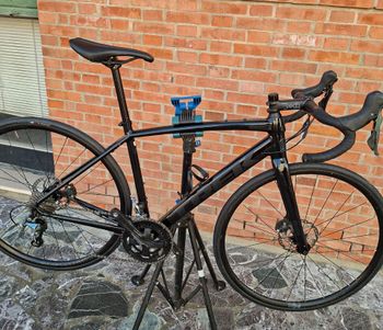 Trek, Domane AL 4 Disc 2023