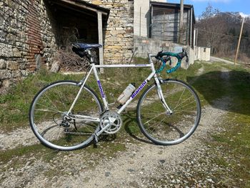 Bianchi, Bianchi Campione Dedacciai Zero Tre 1998