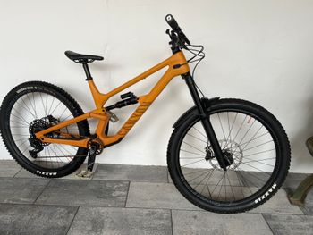 Canyon, Torque 29 CF 7 2022