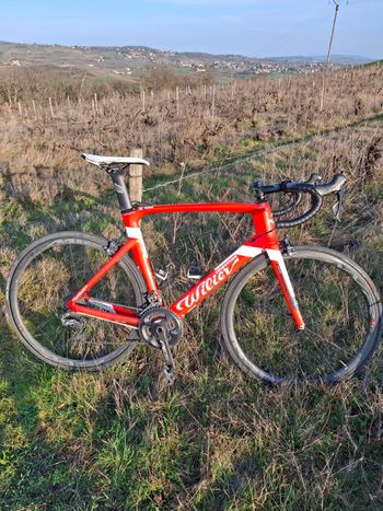 Wilier, Wilier Custom Shimano Ultegra