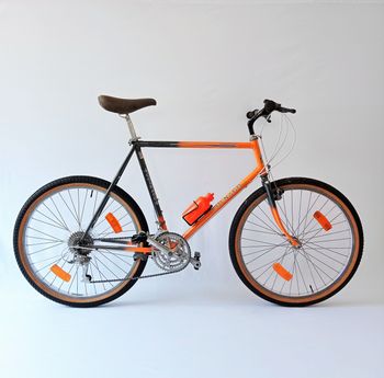 Colnago, Master Colori Molteni