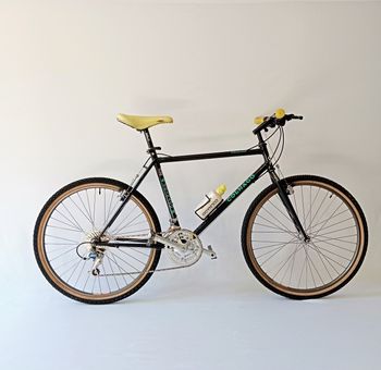 Colnago, Master