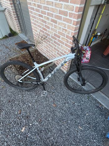Trek, Procaliber 8 2025