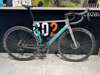 Focus, IZALCO MAX 9.8 2022