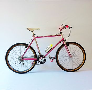 Colnago, Alta Quota