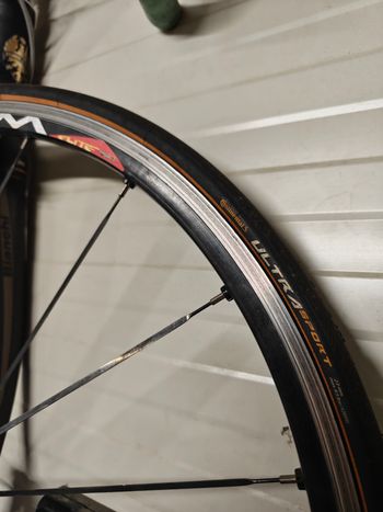Used Bianchi Bianchi Custom Shimano Ultegra 2004 Road & Gravel, Schwarz — image 4 of 5