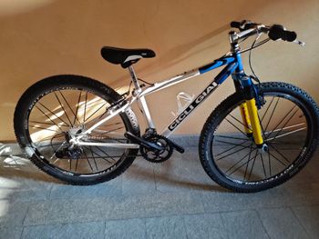 CICLI GIAI, CICLI GIAI Custom Microshift
