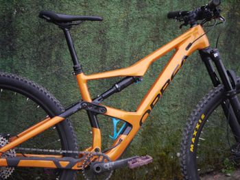 Orbea, OCCAM H30 2020