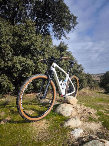 Used ROCKRIDER Mountain Bike SRAM GX Eagle 2025 Mountainbike, White, 29 — image 3 of 4