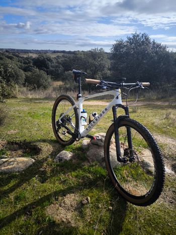 ROCKRIDER, Mountain Bike SRAM GX Eagle