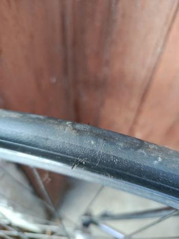 Cinelli Supercorsa 1992 Road & Gravel d'occasion — image 24 sur 32