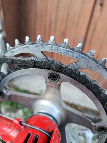 Cinelli Supercorsa 1992 Road & Gravel d'occasion — image 3 sur 32