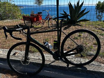 Orbea, ORCA M20TEAM-D 2020
