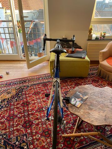 Used Stevens Stelvio Campagnolo Mirage 2007 Road & Gravel, Blue — image 6 of 9