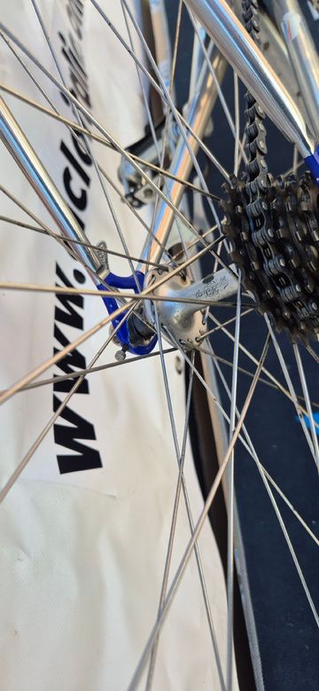 Used Colnago Master Campagnolo Super Record 1985 Road & Gravel, Blue — image 8 of 18