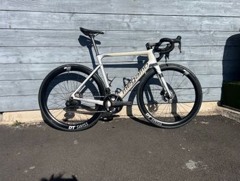 Megamo, PULSE ELITE 03 SH12 2024