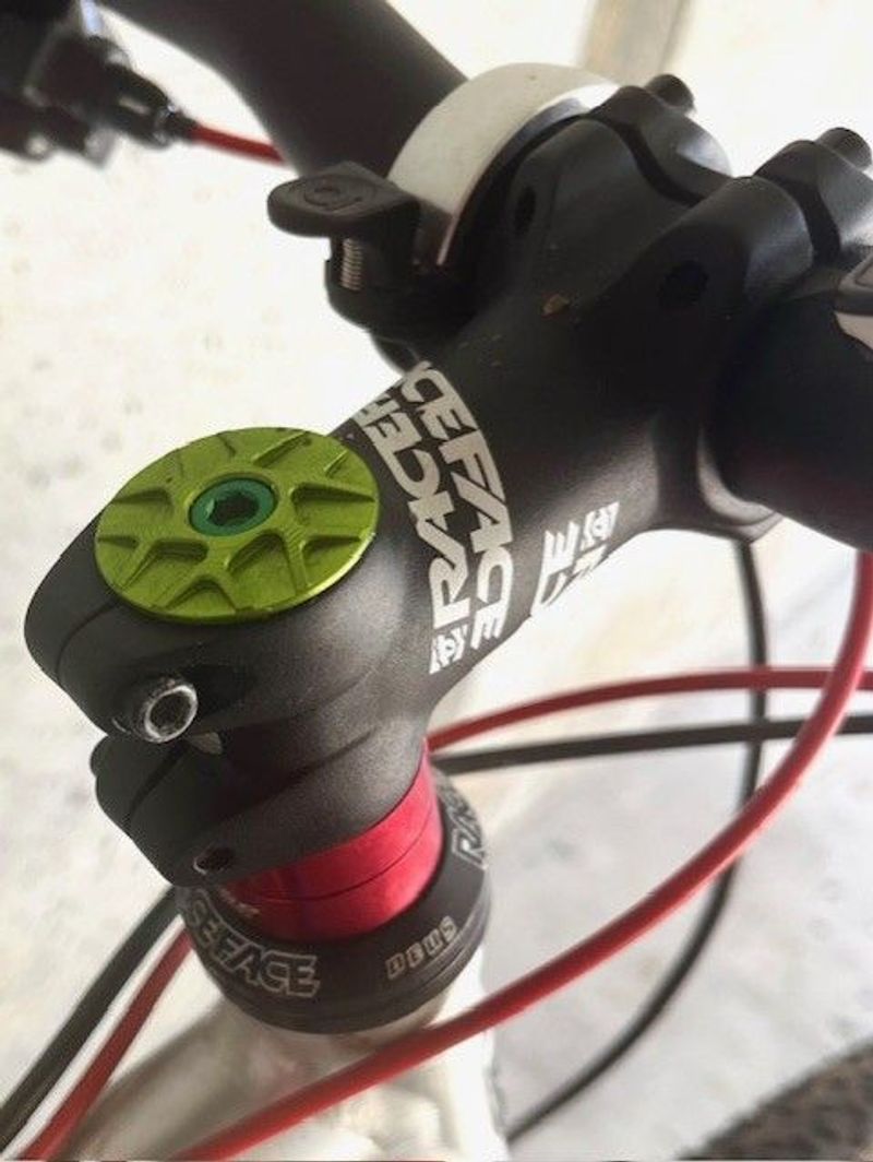 Gebrauchtes Red Bull (Rose) AL Team 2006 Mountainbike, Hellgrau — Bild 7 von 10